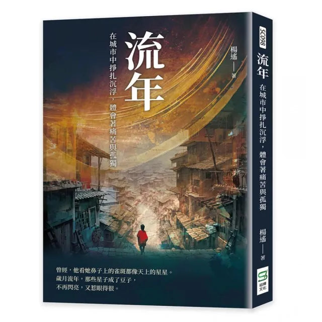 流年:在城市中掙扎沉浮,體會著痛苦與孤獨