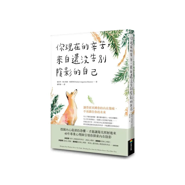 你現在的辛苦,來自還沒告別陰影的自己:讓曾經束縛你的內在傷痛,不再綁住你的未來