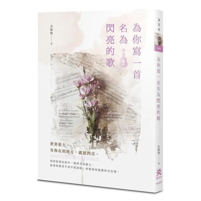 為你寫一首名為閃亮的歌