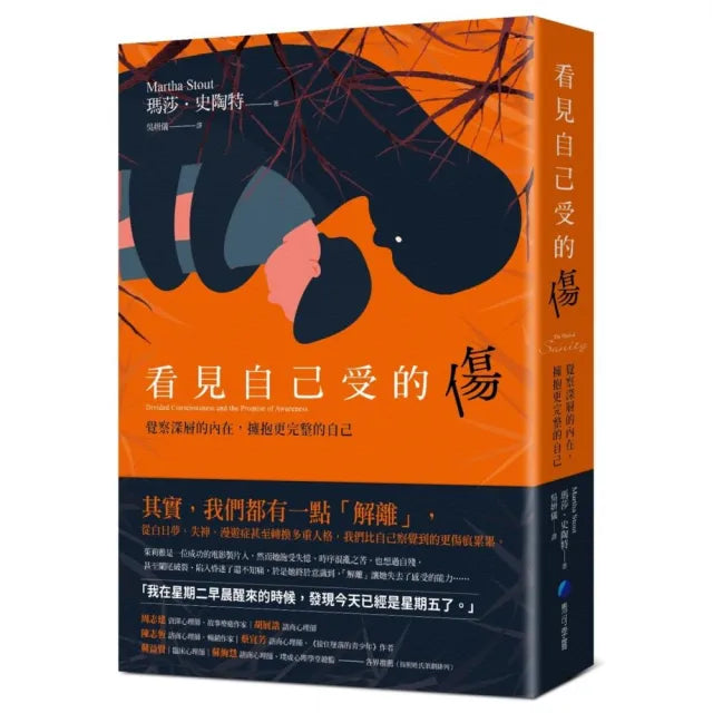 看見自己受的傷:覺察深層的內在 擁抱更完整的自己