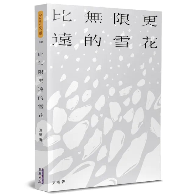 比無限更遠的雪花