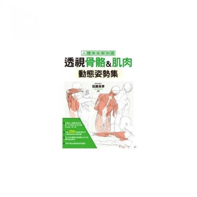 透視骨骼&肌肉動態姿勢集
