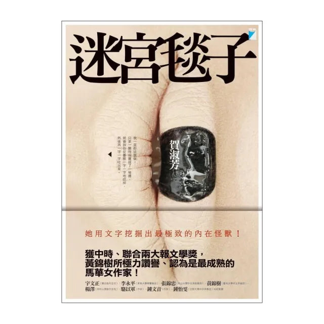 【寶瓶文化】迷宮毯子
