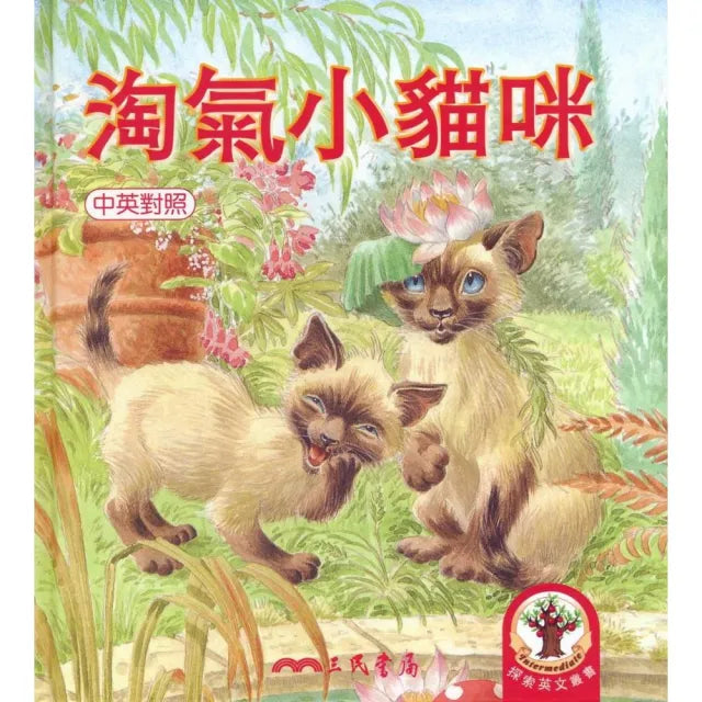 淘氣小貓咪