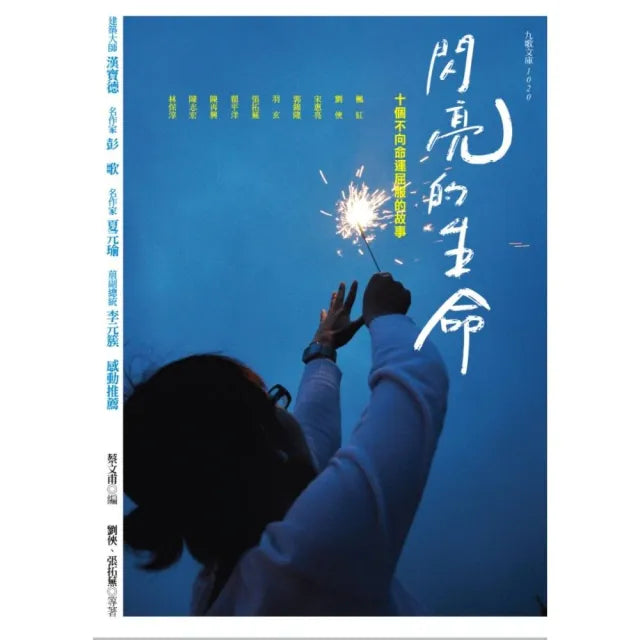 閃亮的生命：十個不向命運屈服的故事