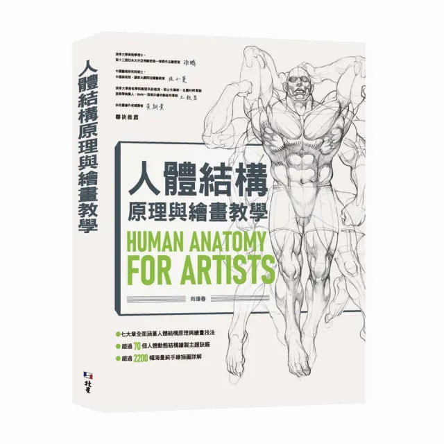 人體結構原理與繪畫教學