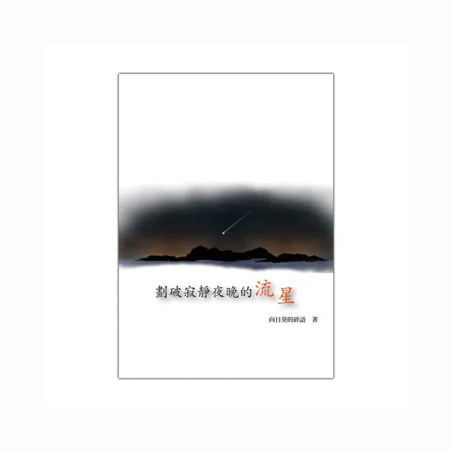 劃破寂靜夜晚的流星．．．．