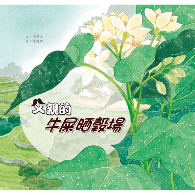 父親的牛屎晒穀場